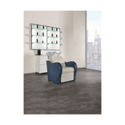Salon Ambience Wasunit Luxury